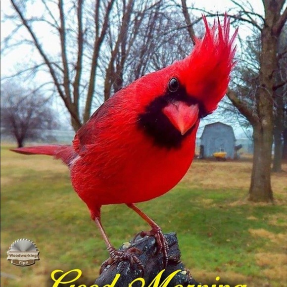 Bundle 2 items from my closet and save 10% - Picture 2 of 3